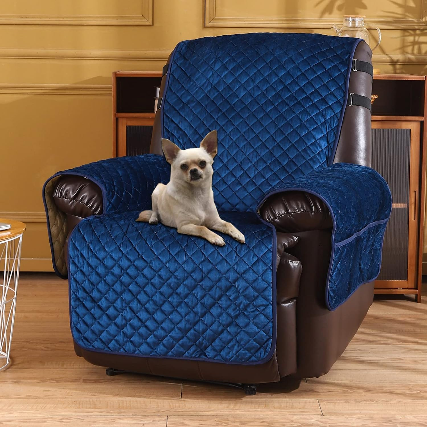 S - Pet Friendly
