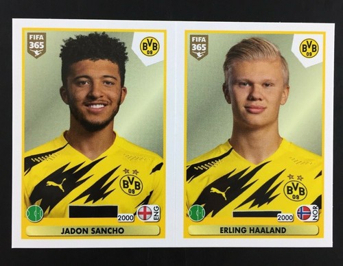 Erling Haaland Jadon Sancho Rookie RC Sticker Panini Fifa 365 2020 21 #181.