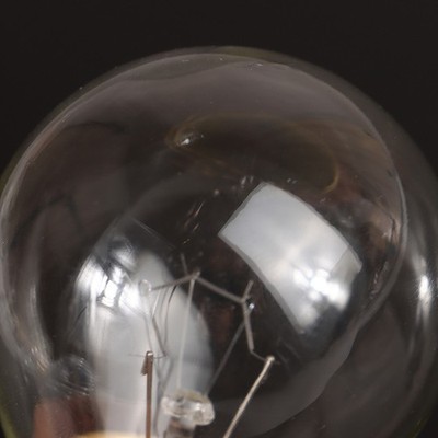 230V E27 300 Degree High Temperature Resistant Microwave Oven Bulb 40W 60W