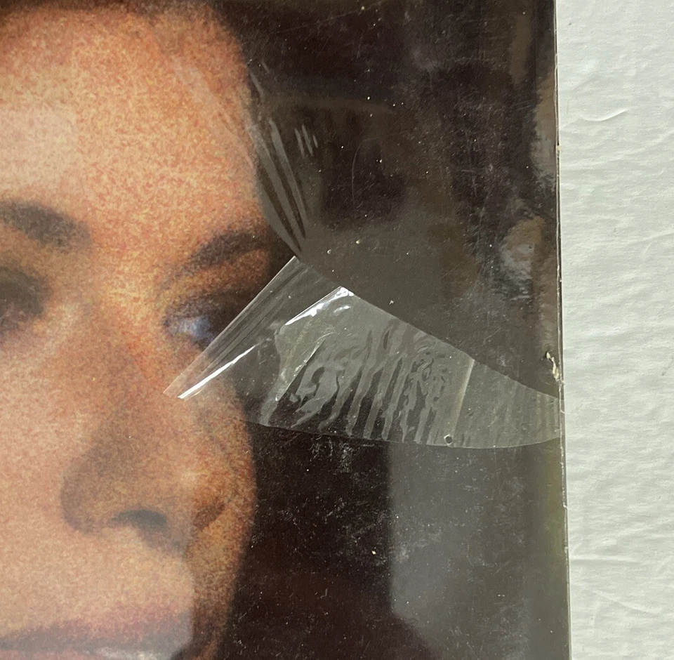 CARLY SIMON Another Passenger - 1976 Vinyl LP Record Pop Rock New Sealed Promo - Image 4 of 4