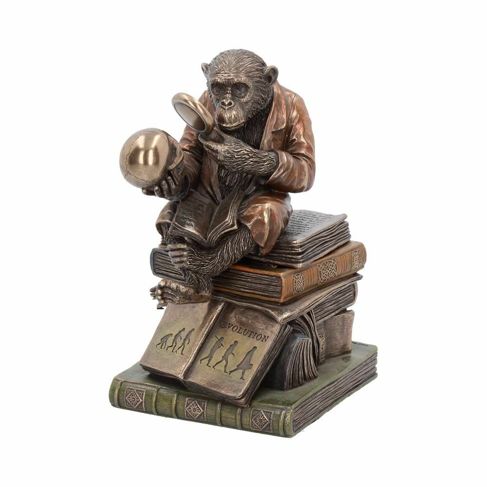 Darwinism of Evolutionary Theory Figurine Charles Darwin Chimpanzee Ornament NEW