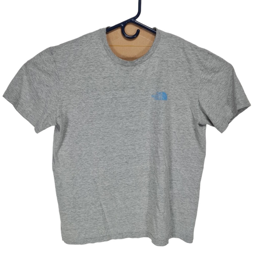North Face Men's Alpine Gray T-Shirt Size L Fine Spell Out Logo 297P