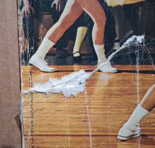 National Lampoon 1964 High School Yearbook (couverture souple, 1973) - Impression originale - Photo 2/15