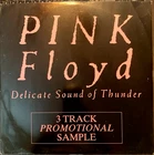 PINK FLOYD "Delicate Sound Of Thunder" UK Promo 12" 3 tracks, Brick In The Wall