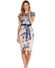 NWT Adrianna Papell Blue Floral Embroidered Sheath Dress (Size 4)