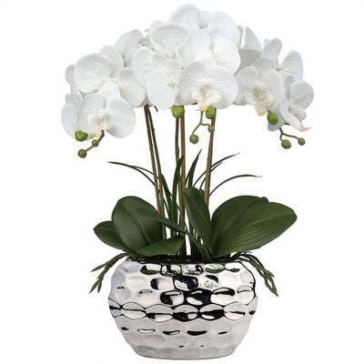 Briful Orchids Artificial Flowers 18 White Phalaenopsis Large Orchid with Sil...