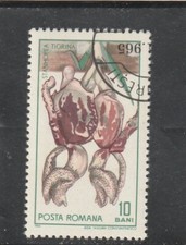 L6022 ROUMANIE TIMBRE  N° Y&T 2157 de 1965 " Stanhopea tigrée " Oblitéré