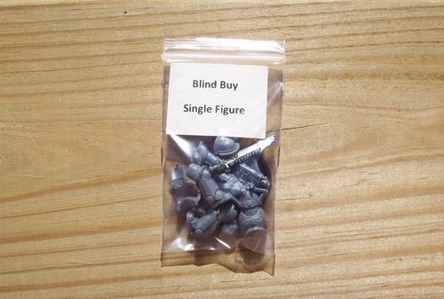 40K Space Marines _Primaris Assault Intercessor Blind Buy MultiPart SingleFigure