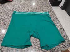 NWT VICTORIA'S SECRET GREEN THICK LOGO WAISTBAND BOY BRIEF BOXER SHORTS PANTIES