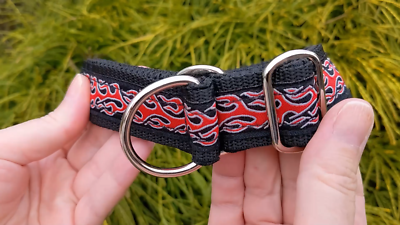 Zugstopp Halsband 3cm breit mit weicher Polsterung Martingale verstellbar  stabil | eBay.de