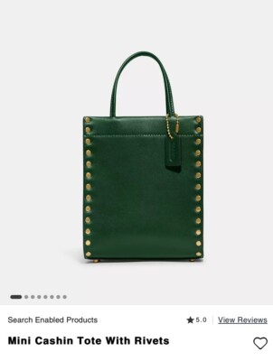 COACH Mini Cashin Tote Crossbody Glovetanned Leather AMAZON GREEN