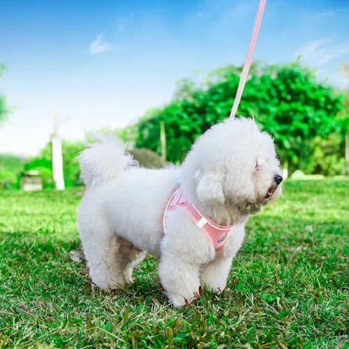 Dog Harness with Leash Set, Step S(10.5-12"NeckGirth ,13.5-16"ChestGirth) Pink