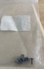 2 x Ski tip protector screws M3 x 5.5mm requiring torx/star key