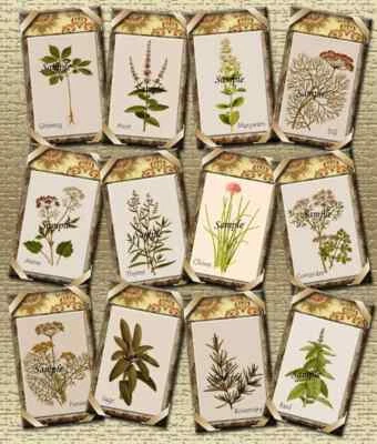 Herb Herbs Plants Garden 12 x Gift Tag Tags Craft Card Topper Journal Scrapbook - image 1 of 2