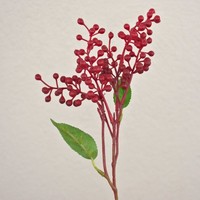 Artplants Kunstzweig Holunderbeeren Teith Mit FrüChten, Rot, 40Cm