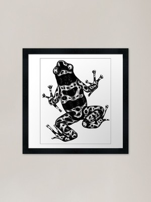 Bumblebee poison frog Framed Art Pr Framed Wall Art Poster Canvas Print Picture
