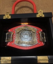 WWE John Cena Mini Belt Spinner Final Match Washington DC