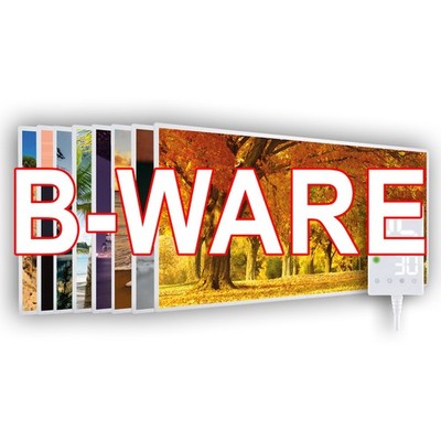 B-Ware Infrarotheizung mit Bild Elektroheizung Heizkörper Wandheizung Heizung