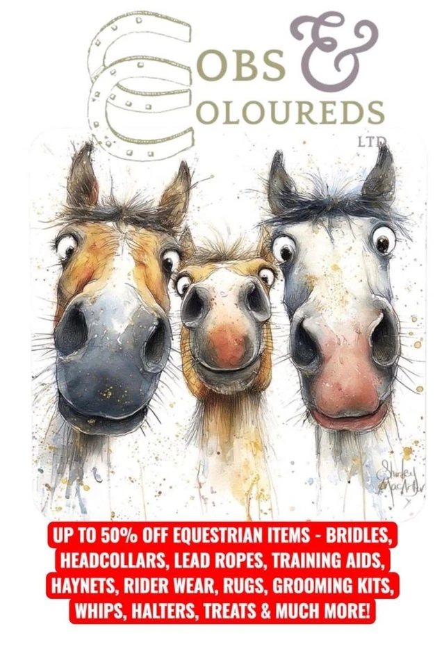TACK RIDER WEAR HARNESS TREATS HEADCOLLARS GROOMING HAYNETS UP TO 50% OFF