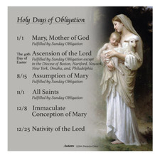 Holy Days of Obligation Fridge Magnet 4 x 4  ...