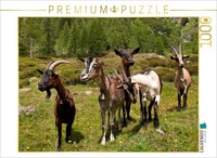 Calvendo Puzzle A Curious Herd Of Goats | 1000 Pieces, Finished Size 25.2 × 18.9