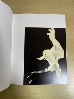 Masao Yamamoto Tori Signed Limited Edition Art Print Photography