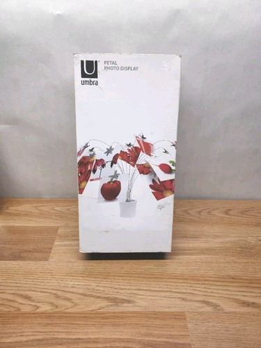 Umbra PETAL Photo Display Designed by Tom Vincent Stylish Interior Decoration - Picture 2 of 6
