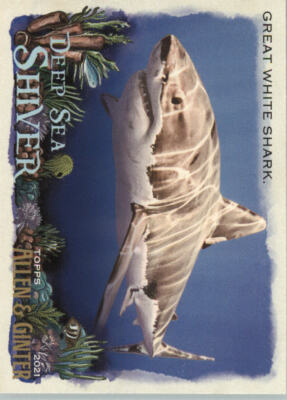 2021 Topps Allen and Ginter Baseball ''Deep Sea Shiver'' Insert Cards