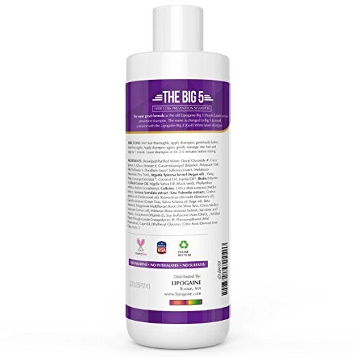 Lipogaine Big 5 más chamoo natural, champú para regeneración del cabello juego de 2 botellas Foto 2 de 2