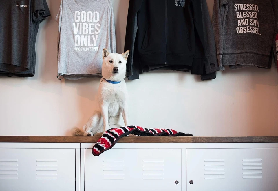 ZippyPaws ZP822 Z Stitch Snake Squeak Toy  Medium Red  - Image 3 of 4