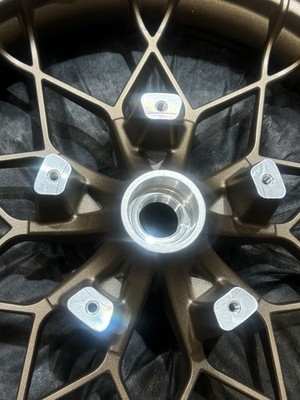 Harley-Davidson OEM Bronze Front Wheel Road Glide FLTRXST 43300840