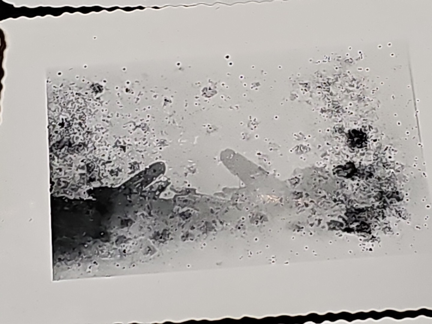 Picture 9 of 20