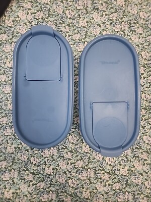 Set of 2 Tupperware 4 3/4 Cups 1.1 Liters Clear Containers With Blue Lid