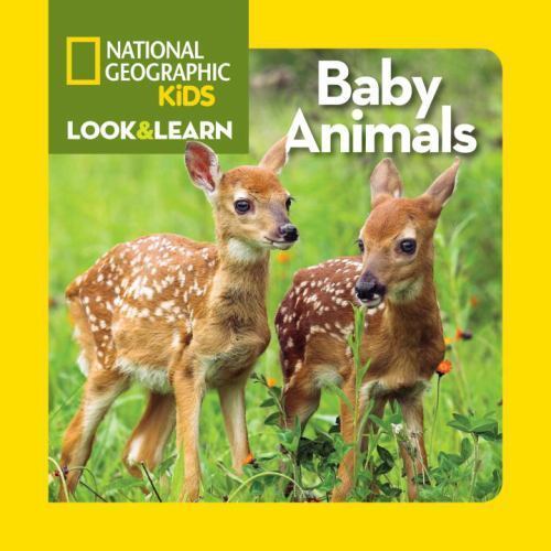 Look and Learn: Baby Animals; Look&Learn - 1426314825, Kids, board book