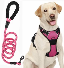 Medium Dog Harness and Leash Set No Pull Vest Harness Reflective adjust
