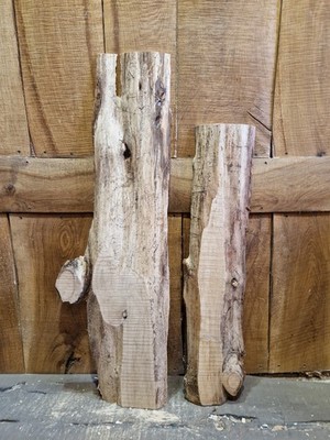 Zedernholz Platte Holz Live Edge Ableger (168)