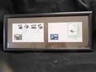 Cancelled Panda Stamps - China - Professionally Framed and Matted