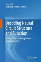 Arzu ÇElik (U. A.) | Decoding Neural Circuit Structure And Function | Buch