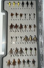 Premium Euro Nymph Fly Assortment (3 Dozen)