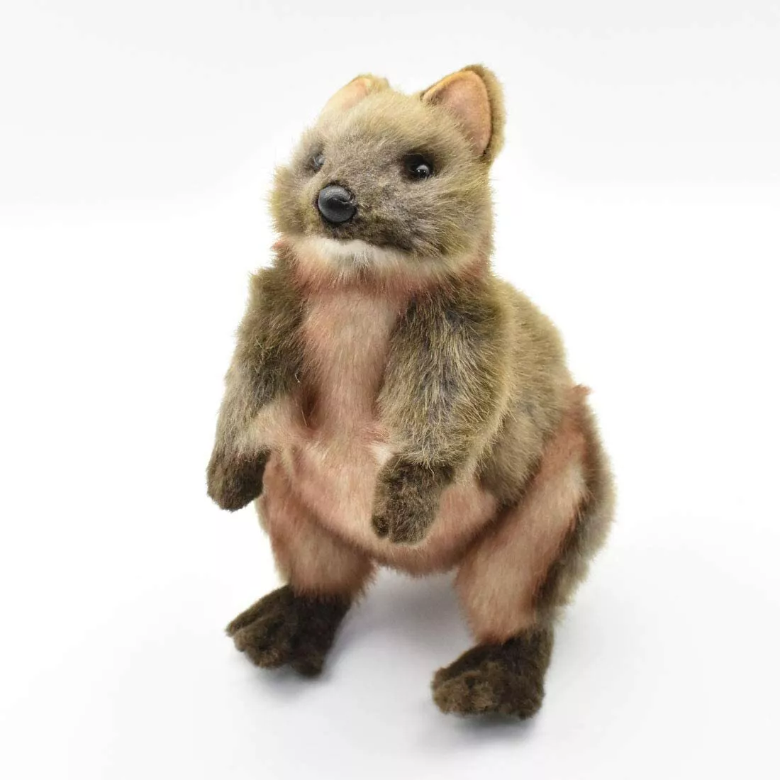 Wallaby stuffed animal outlet