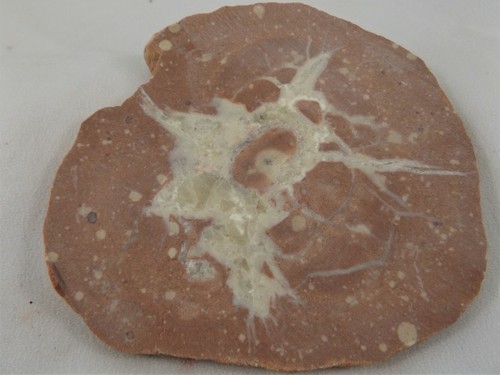 DIG-N-UTAH: SLAB WAYNE CO. UTAH SEPTARIAN ROUGH CAB # J 432 - Picture 4 of 4
