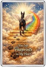 ????Rainbow Bridge Fridge Magnet Gift Pawprints Memorial Dobermann UK Dog Lover
