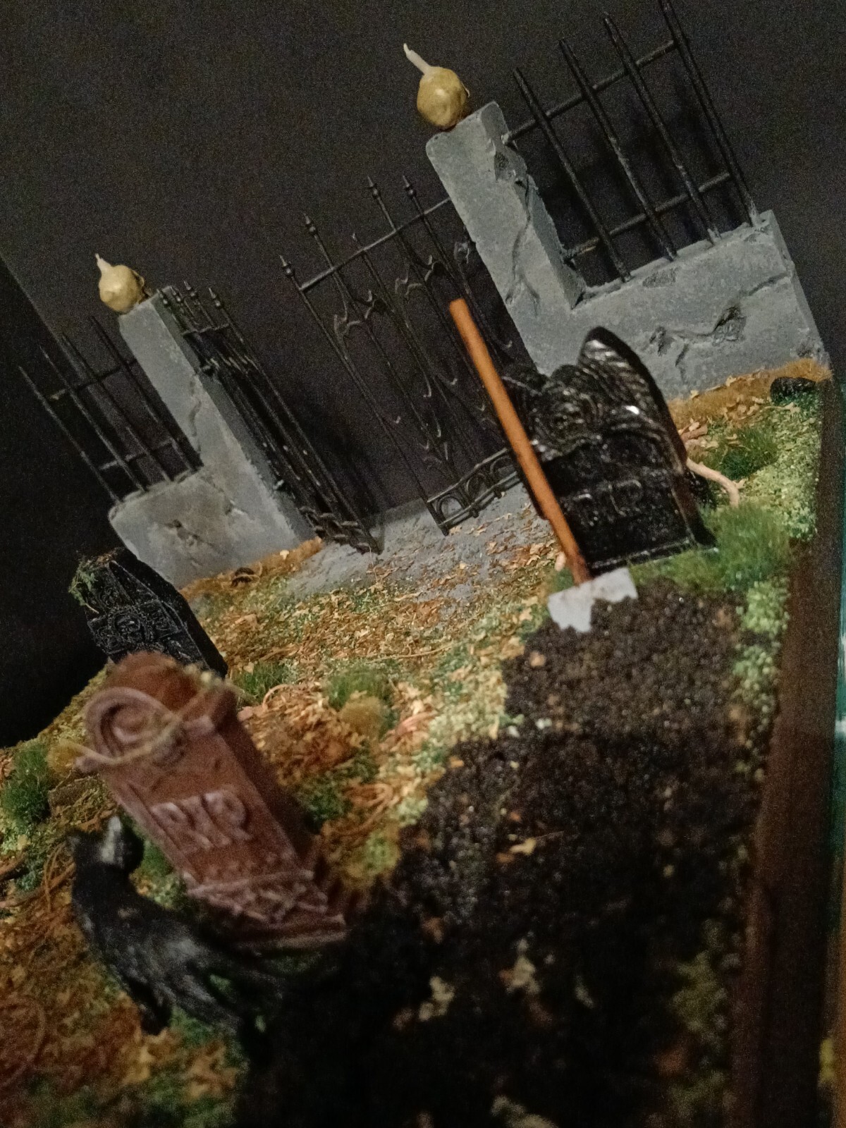 Picture 8 of 13