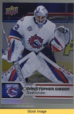 2017-18 Upper Deck AHL Rainbow Foil Christopher Gibson #88 READ 0nr3