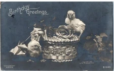 Vintage Birthday RPPC Postcard Baby Chicks and Roses Posted 1907