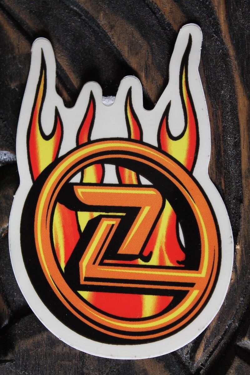 Z Flex Logo