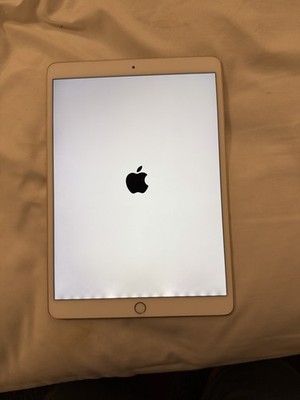 Apple iPad