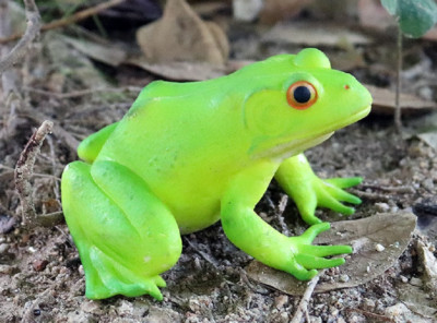 10cm Green Frog PVC Toy Wild Animal Figure Doll Kids Gift