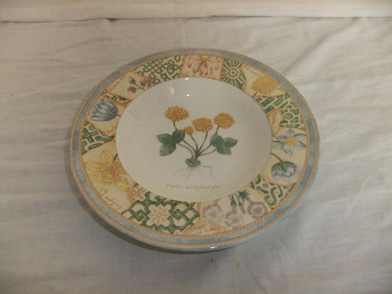 c4 Pottery Wedgwood Garden Maze (1996) dishwasher & microwave safe