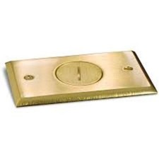 LEW Brass Plated Single Receptacle Plate